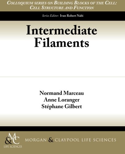 Intermediate Filaments