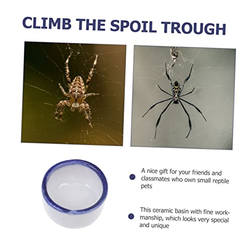 Balacoo 48 Pçs Bacias Tigelas Prato Escorpião Anfíbio Para Alimentadores Minúsculos Alimentando Reci