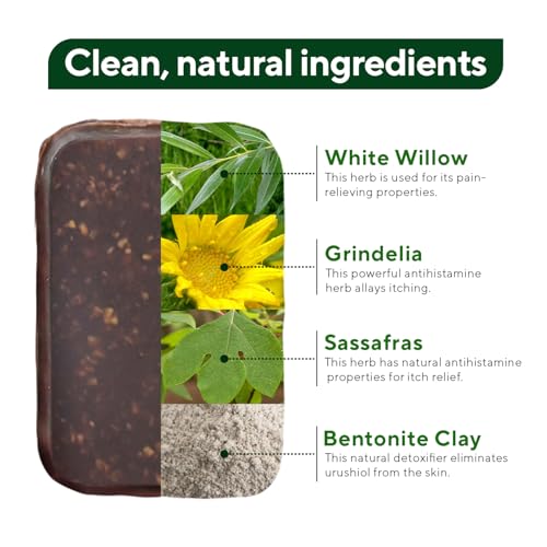 Image of Marie's Original Poison Ivy Soap Bar | All Natural Poison Ivy Treatment | Anti-Itch Skin Cleanser Bar Wash for Poison Ivy, Poison Oak & Sumac | Removes Oils, Soothes & Relieves Rashes | 2.9 ounces