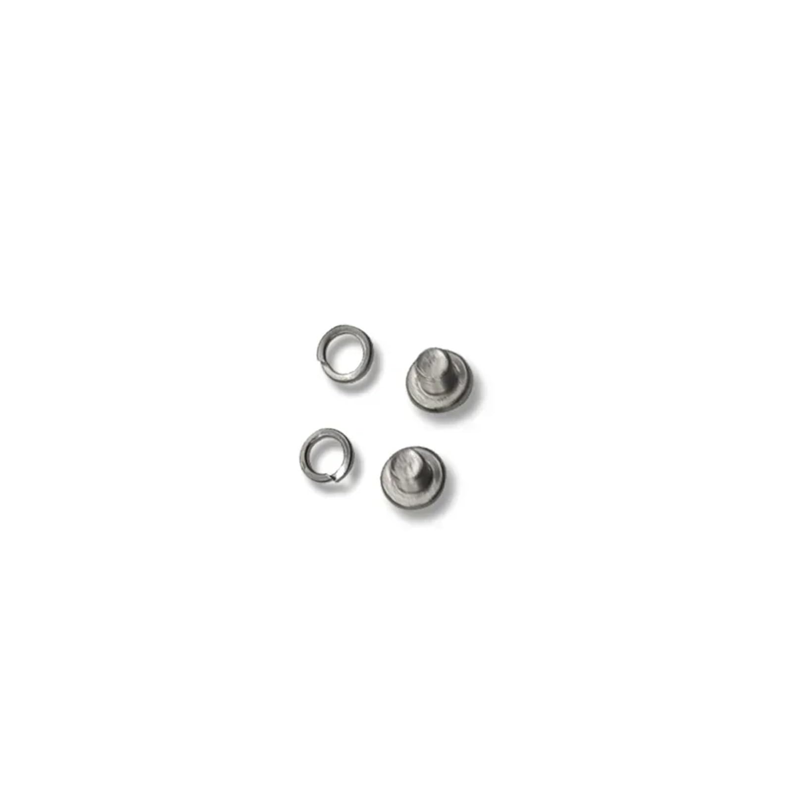 Kit de reparación escobillas del regulador alternador (10 piezas) para Scania 1526146