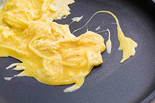 Swiss Diamond 12.5" x 10" 4.8Qt Roaster HD Nonstick Diamond Coated Aluminum Dishwasher Safe and Oven Safe