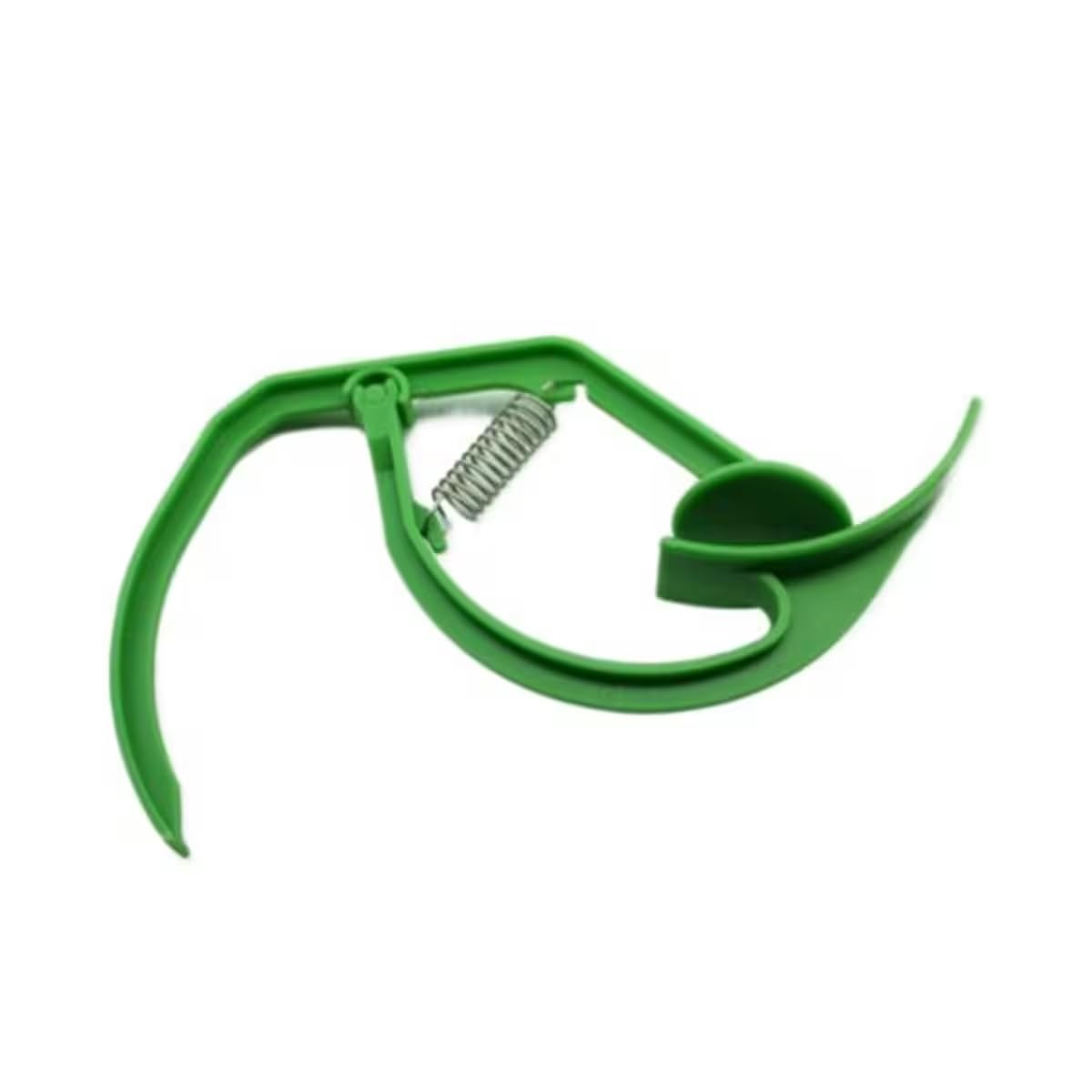 Pinza per compressione fistola non sterile | Forcep per dialisi | Colore verde | Confezione da 2 pezzi