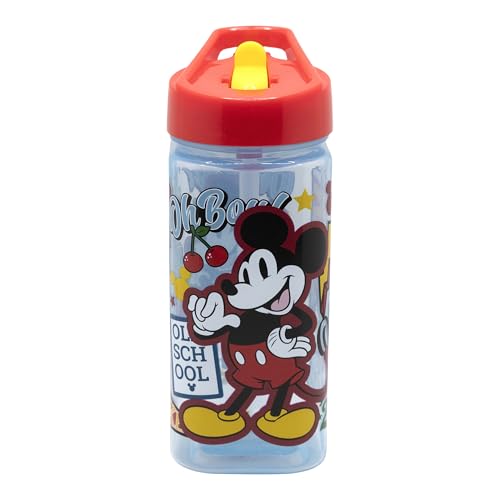 Bouteille SQUARE 510 ML MICKEY TRUE CHAMPIONS