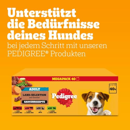 Pedigree DOGCARE Hundefutter Portionsbeutel Chunks in Soße Adult 40 x 100g