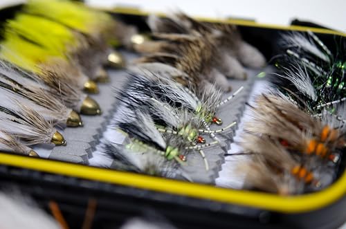 Image of Outdoor Planet Assorted Trout Fly Fishing Lure Pack of 10 /12 /15 /28 /35 /48 /66 Pieces Fly Lure + Double Side Waterproof Pocketed Fly Box