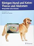 Röntgen Hund und Katze: Thorax und Abdomen