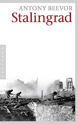 Stalingrad view 2
