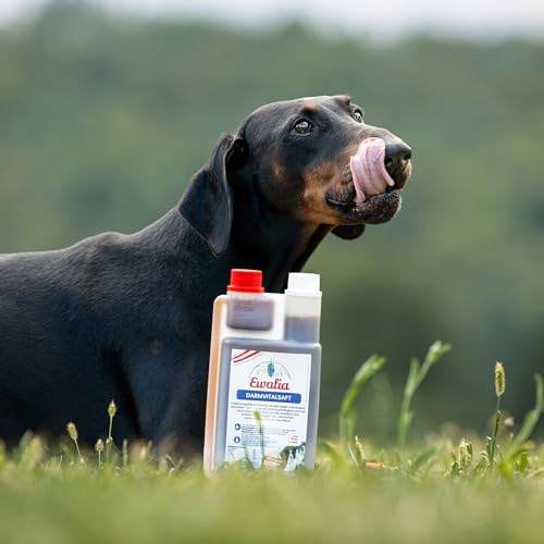 EWALIA Darmvitalsaft | 500 ml | Ergänzungsfuttermittel für Hunde & Kleintiere | Mit Schafgarbe