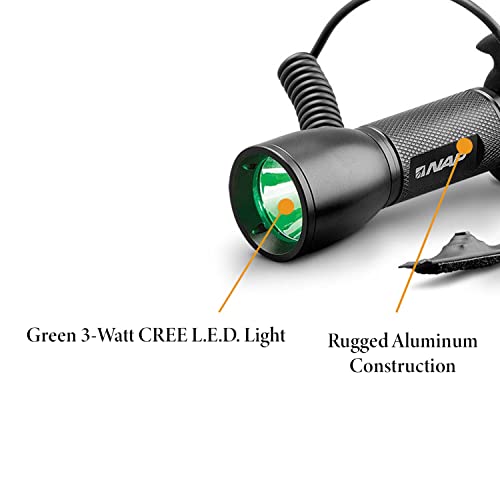 Stabilisateur LED Apache Predator pour vos sessions de tir à l'arc nocturnes