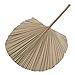 Generic Ręcznie Wykonany Wentylator Rattan Decoration Suszone Palm Liście Wentylator Wentylator Ręka Tropikalna Palm Liście Dekoracja Wazon Wypełniacz Do Wedding Home Office Khaki