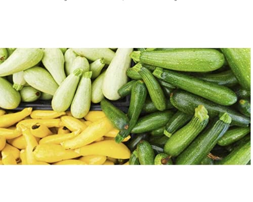 This Is A Mix!!! 50+ Zucchini And Squash Mix Seeds 12 Varieties Non-Gmo Delicious Grown In Usa. Fast Growing, Rare, Super Profilic, #TOP5