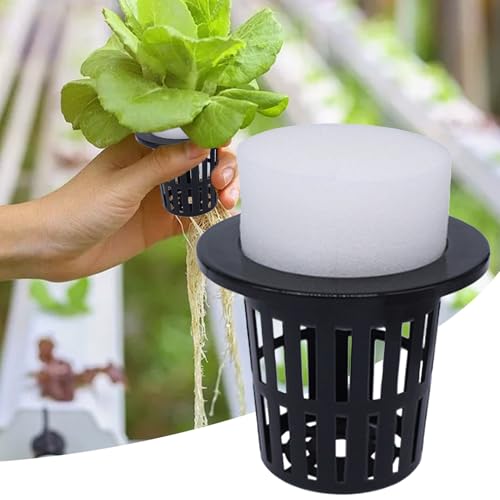 Macetas hidropónicas solucionan la falta de espacio cultivando sin tierra 4