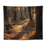 Einfach aufzuhängen: Die Verpackung ist mit 2 Clips und 3 Haken mit spurlosen Nägeln ausgestattet, und die beiden Enden des Wandteppichs können an der Wand befestigt werden. Die Installation ist bequem und wird die Wand nicht zerstören.