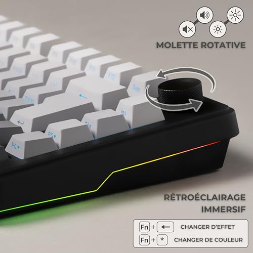 The G-Lab KEYZ Elite 300 GRG - Tastiera Gamer Wireless TKL Tri Mode 2.4 Ghz/Bluetooth/cablata - Tastiera meccanica Hot Swap, Switches Prelubrificati, Incisura Laterale, RGB+Macro - AZERTY FR - Windows - Tastiera gaming - Immagine 5