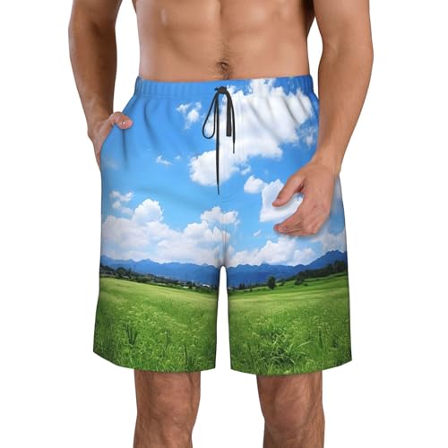 Natural Print Mens Casual Shorts Drawstring Summer Beach Stretch Shorts Novelty Swimtrunks