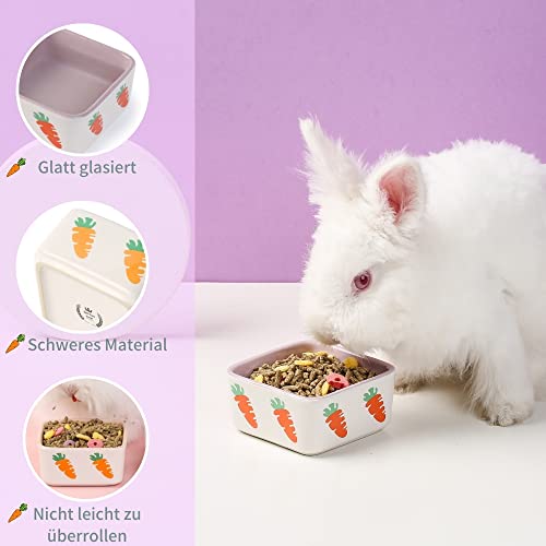 JanYoo Ciotola per piccoli animali accessori per