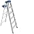 Werner 366 stepladders, 6 Feet, Blue,Gold
