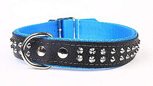 Capadi K0233 Hundehalsband verziert mit Ziernieten aus echtem strapazierfähiges Leder gefüttert mit starkem Nylon, Blau, Breite 30 mm, Länge 63 cm