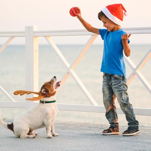 flintronic 4 Stück Hundeball, Naturgummi Hundespielzeug mit Minzgeschmack Ø 5cm, Kauspielzeug aus Naturgummi, Hundezahn Reinigungs Spielzeugball, interaktives Hundespielzeug für Große & Kleine Hunde
