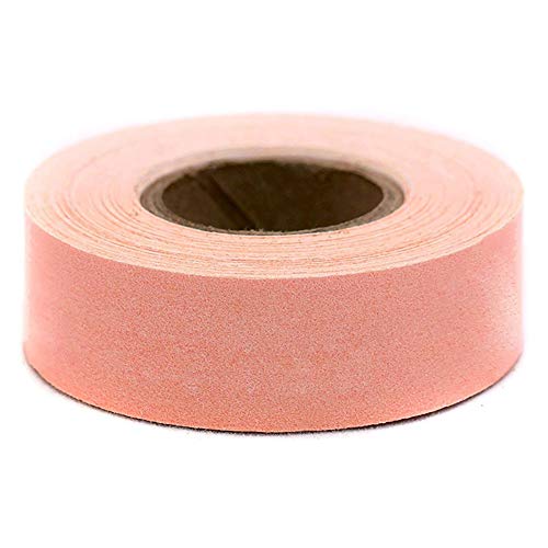 The Library Store Color-Coding Paper Tape 1"W x 500"L Roll (Salmon)