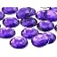 Purple Violet H132