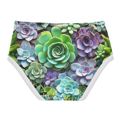 Colorful Succulents Toddler Girls's Underwear 2T 202c18732