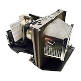 Advanced Lamps™ BL-FU220A Lamp & Housing for Optoma Projectors - Fits EC.J2701001, EC.J2702001, HD72i, HD72, HD73, PD523PD, PD525PD, PD527D, Theme-S-HD72-1 Unit Per Pack - 90-Day Warranty