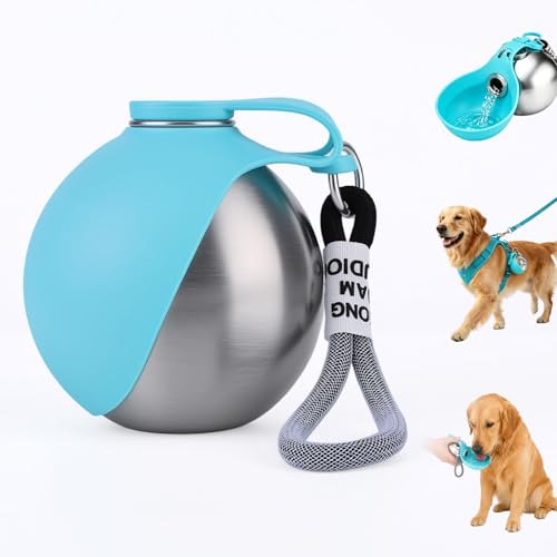 2-in-1 Stainless Steel Bottle