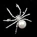 DREAMLANDSALES Victorian Style White Mother of Pearl Body and Micro Pave Head Spider Brooch Pin (White)