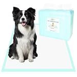 GWT 40 Count 28×34 Inch Premium Dog Pee Pads – Ultra Absorbent, Leak-Proof, Odor Control Pet Training Pads for Large Dogs – Extra Large, Quick-Dry Technology, Tear-Resistant