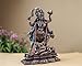 SHIVAJI ARTS Kali Statue, 19.5 CM Bonded Bronze Goddess Kali Idol, Parvati, Kalika, Kali Shiva Murthi. Hindu Goddess of Destruction, Power & Creation.