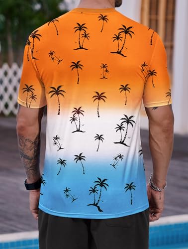 Men's Summer Graphic Shirts Crew Neck Short Sleeve Tropical Ombre Tee Shirt (S-2XL)4