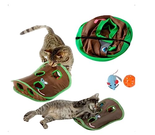 Brinquedo Toca Pet Caça Gato Bolinha - Interativo