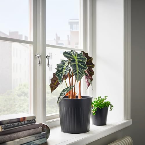 Pot de fleurs intérieur extérieur anthracite CITRONMELISS 19 cm - 4
