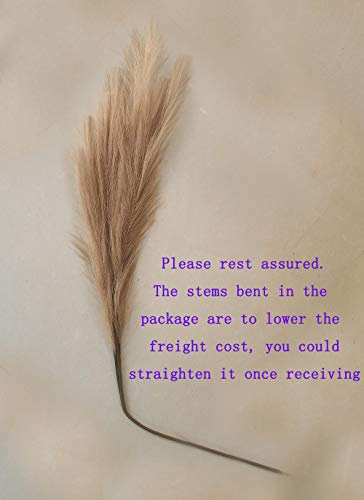 Uiizic Faux Pampas Grass 6 Pcs 35"/90Cm Dried Fluffy Artificial Flowers Ascendant Grass For Vase Fillers Wedding Party Bouquets Home Hotel Centerpieces Decor (Brown Original) #TOP6