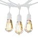 BrightechTM - Ambience Pro Vintage Edition Outdoor Commercial String Lights with Nostalgic Edison Bulbs - 48 Feet String Light with 15 Heavy Duty Molded Rubber Hanging Light Sockets - Create a Unique Retro Look and Feel - UL Listed for Indoor and Outdoor Use - White Wire