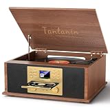 TANLANIN 10-in-1 Record Player