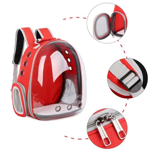 Mochila Transporte Pet Cães Gatos Visão Panorâmica Astronauta viagens passeio (Verde)