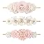 Rose Bloom