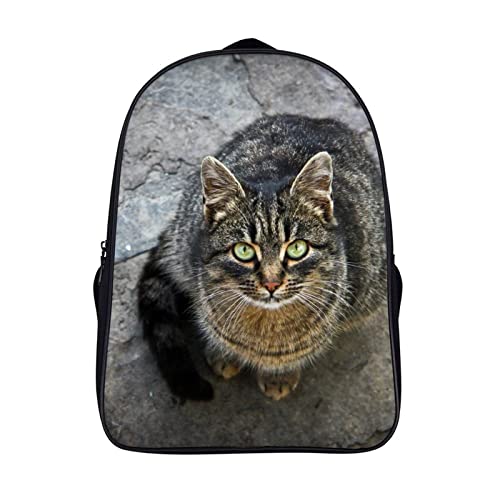 Sac à dos de voyage compact 40x28x16cm pour soulager le dos