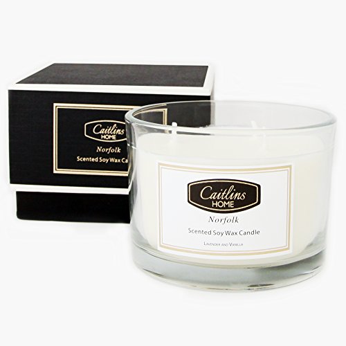 Caitlins Home Lavender and Vanilla Scented Candle 3 Wick Soy Wax Aromatherapy Home Fragrance