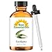 Eucalyptus (Large 4 Ounce) Best Essential Oil...