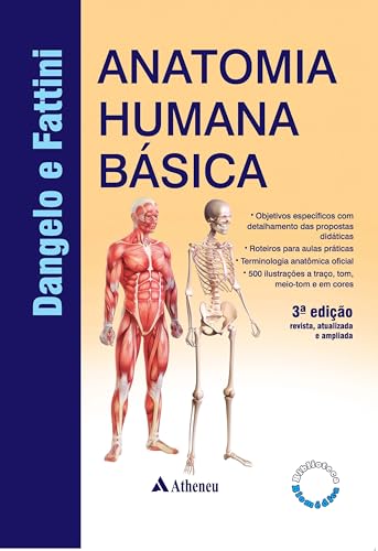 Anatomia humana básica