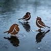 6 Oiseaux Décoratifs En Métal Rouillé Avec Vis - Déco Jardin Vintage Pour Terrasse, Clôture Et Extérieur