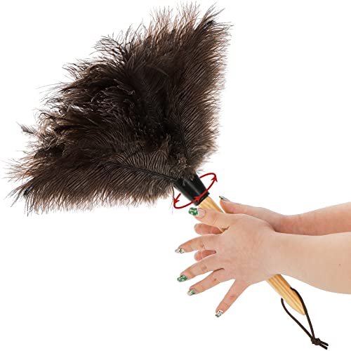 Coloch 2 Pack Ostrich Feather Duster With Wood Handle, Natural Fluffy Feather Duster Reusable Handmade Cleaning Dusters For Home, Living Room, Office, Car Cleaning, Brown #TOP3