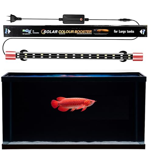 Image of Buraq Solar Color Booster Aquarium Light for Large Tanks, 6700K Natural Spectrum, Fish Color Enhancement, LED Large Aquarium Light Suitable for 3Ft to 4.5Ft Tanks (BL - 100 | 3FT - 4.5FT)