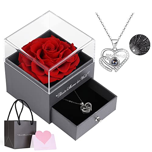 Eaprala Rosa roja auténtica con collar de mamá - Rosa eterna, regalo de flores para mamá de hija e hijo, regalo del día de la madre, San Valentín, Navidad, cumpleaños, regalo de madre (rojo) Cover