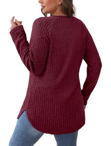 Image of Saloogoe Long Sleeve Shirts for Women 2025 Fall Clothes Tunic Tops Loose Fit Dressy Crewneck Pullover Sweaters Curved Hem