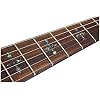 Schecter Hellraiser C-1 - Black Cherry
