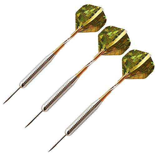 Fléchettes professionnelles 25g aiguilles en six packs complets avec coffret